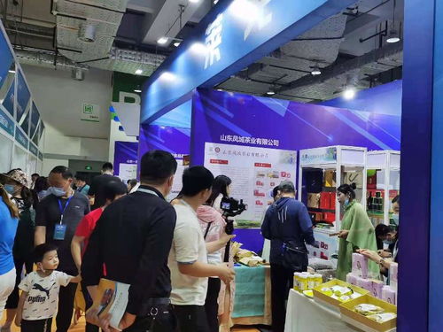 2021濟(jì)南地產(chǎn)品展示交易會(huì) 市場(chǎng)拓展與咨詢(xún)策劃服務(wù)的創(chuàng)新融合